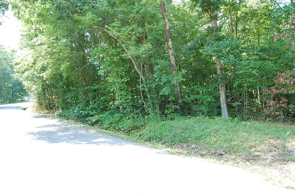 65 Dogwood Lane Dunlap TN 37327