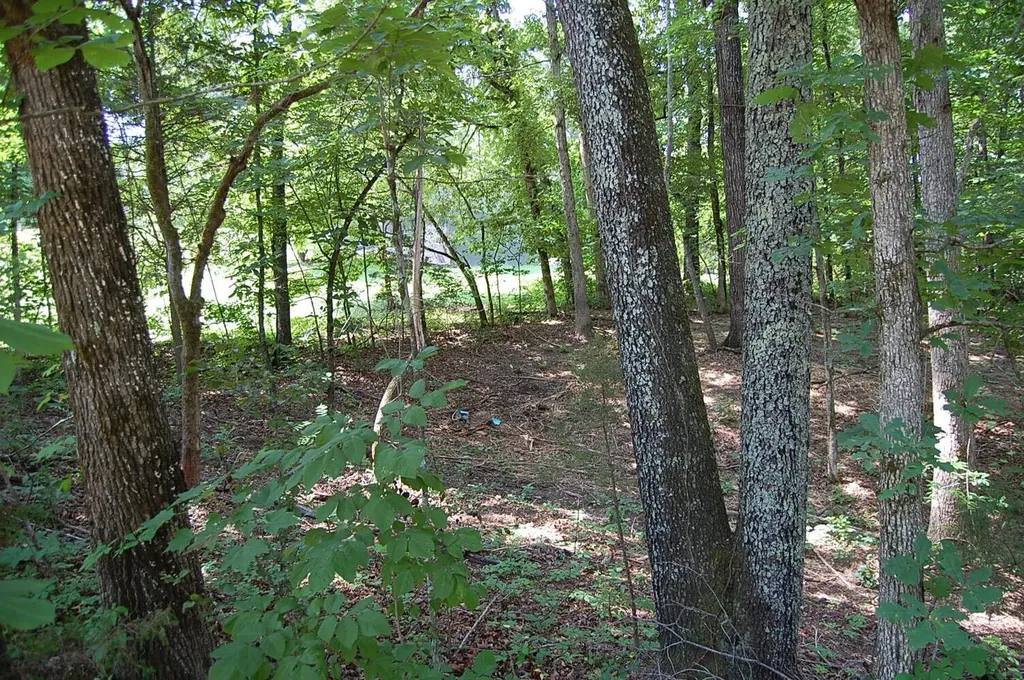 65 Dogwood Lane Dunlap TN 37327