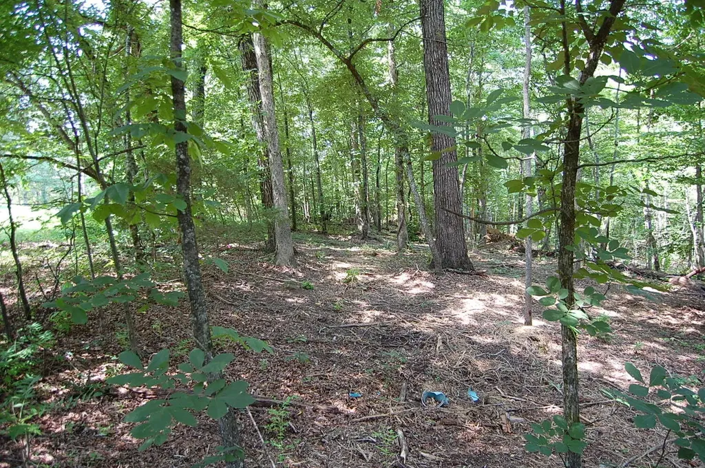 65 Dogwood Lane Dunlap TN 37327