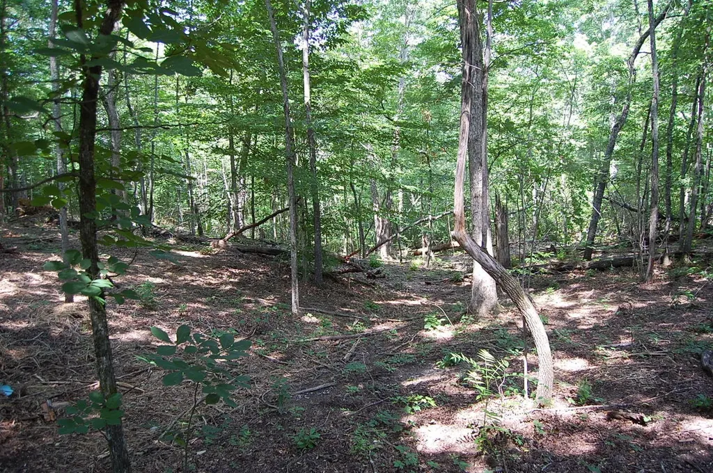 65 Dogwood Lane Dunlap TN 37327
