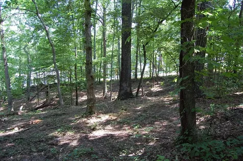 65 Dogwood Lane Dunlap TN 37327