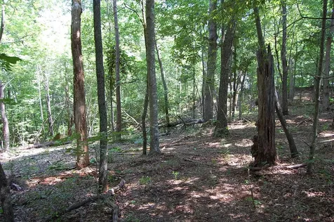 65 Dogwood Lane Dunlap TN 37327