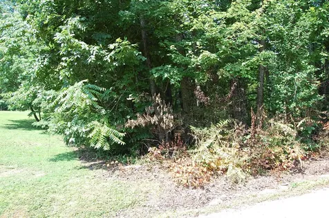 65 Dogwood Lane Dunlap TN 37327