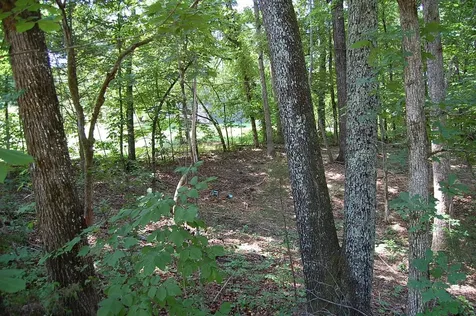 65 Dogwood Lane Dunlap TN 37327