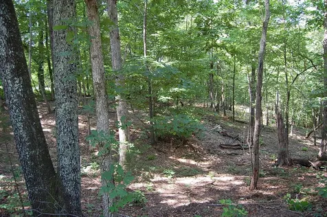 65 Dogwood Lane Dunlap TN 37327