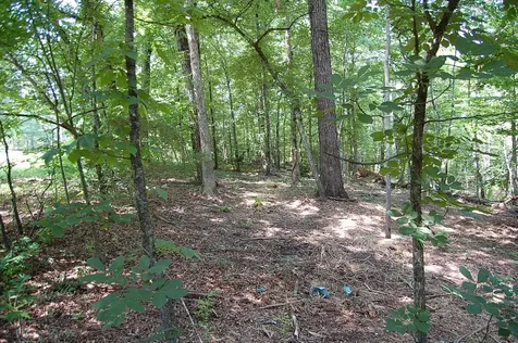 65 Dogwood Lane Dunlap TN 37327