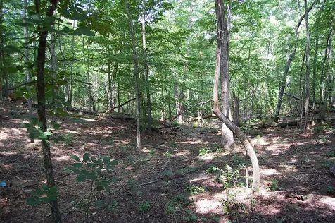65 Dogwood Lane Dunlap TN 37327
