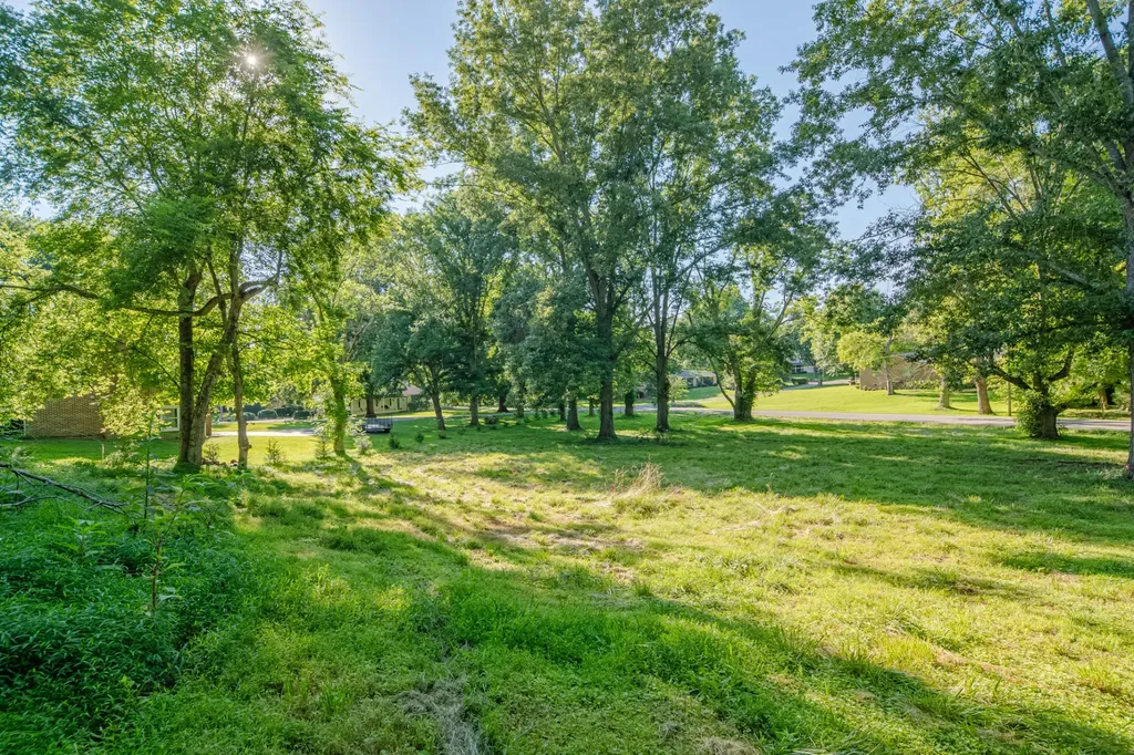 0 Cayce Valley Drive Columbia TN 38401