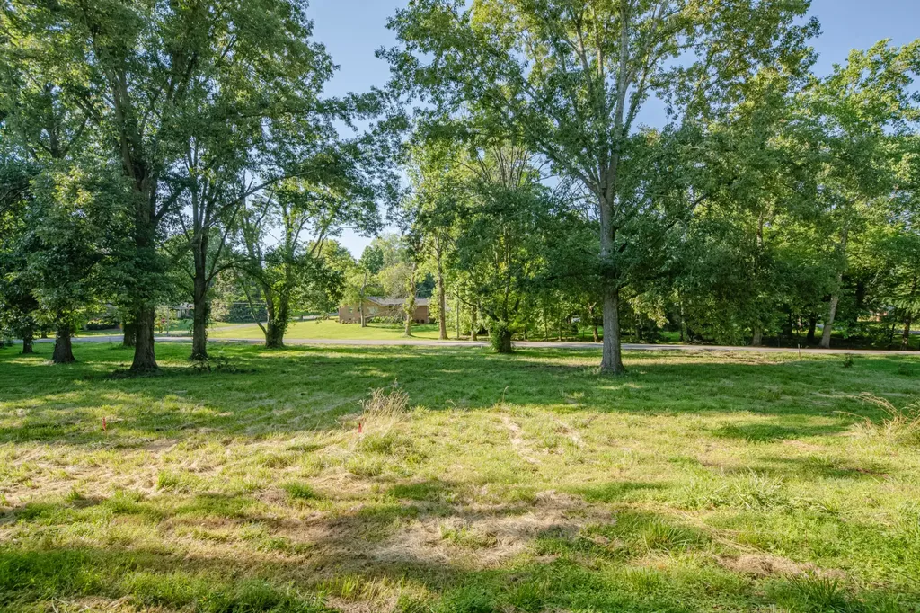 0 Cayce Valley Drive Columbia TN 38401