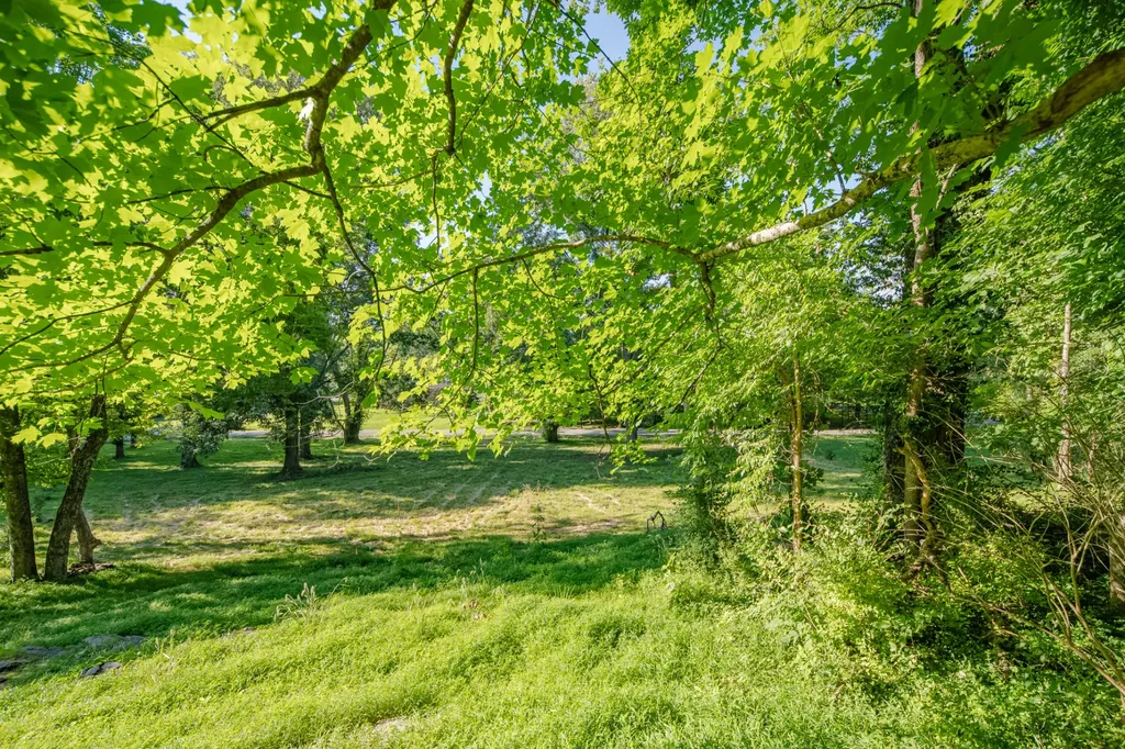 0 Cayce Valley Drive Columbia TN 38401