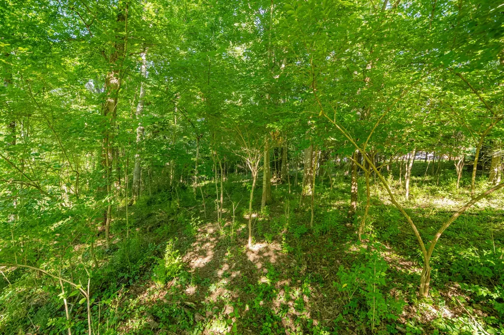 0 Cayce Valley Drive Columbia TN 38401