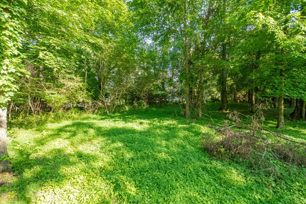 0 Cayce Valley Drive Columbia TN 38401