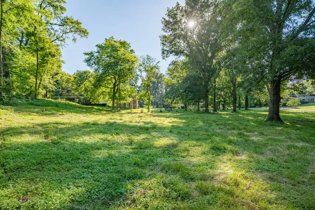 0 Cayce Valley Drive Columbia TN 38401
