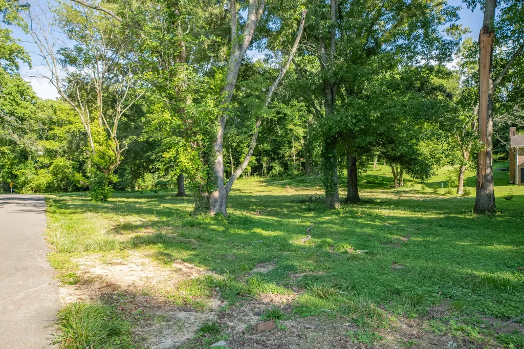 0 Cayce Valley Drive Columbia TN 38401