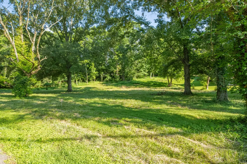 0 Cayce Valley Drive Columbia TN 38401