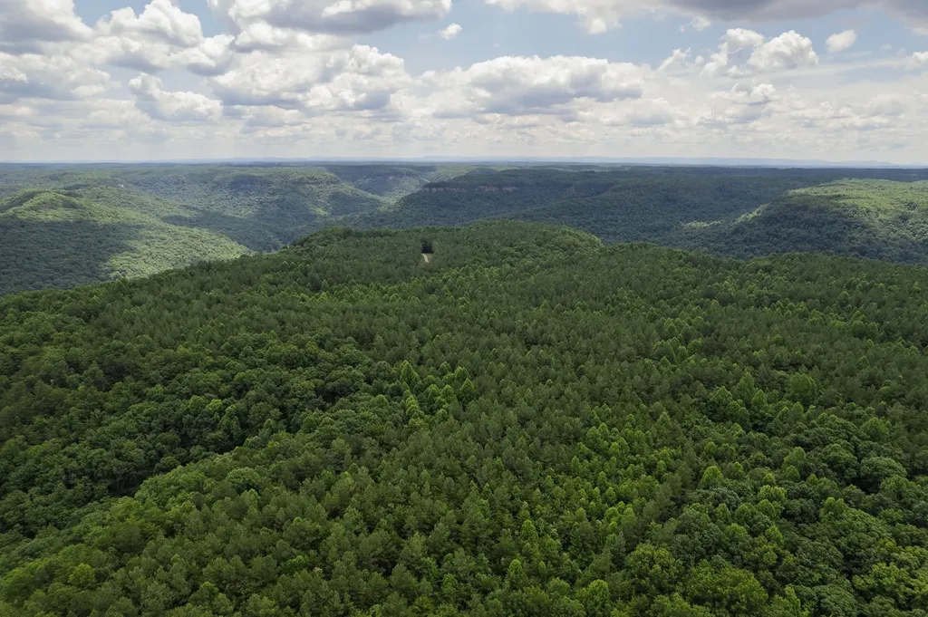 1313 Flat Rock Road Jamestown TN 38556