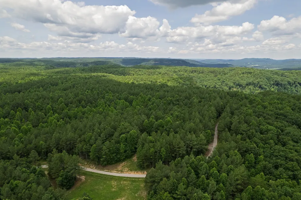 1313 Flat Rock Road Jamestown TN 38556