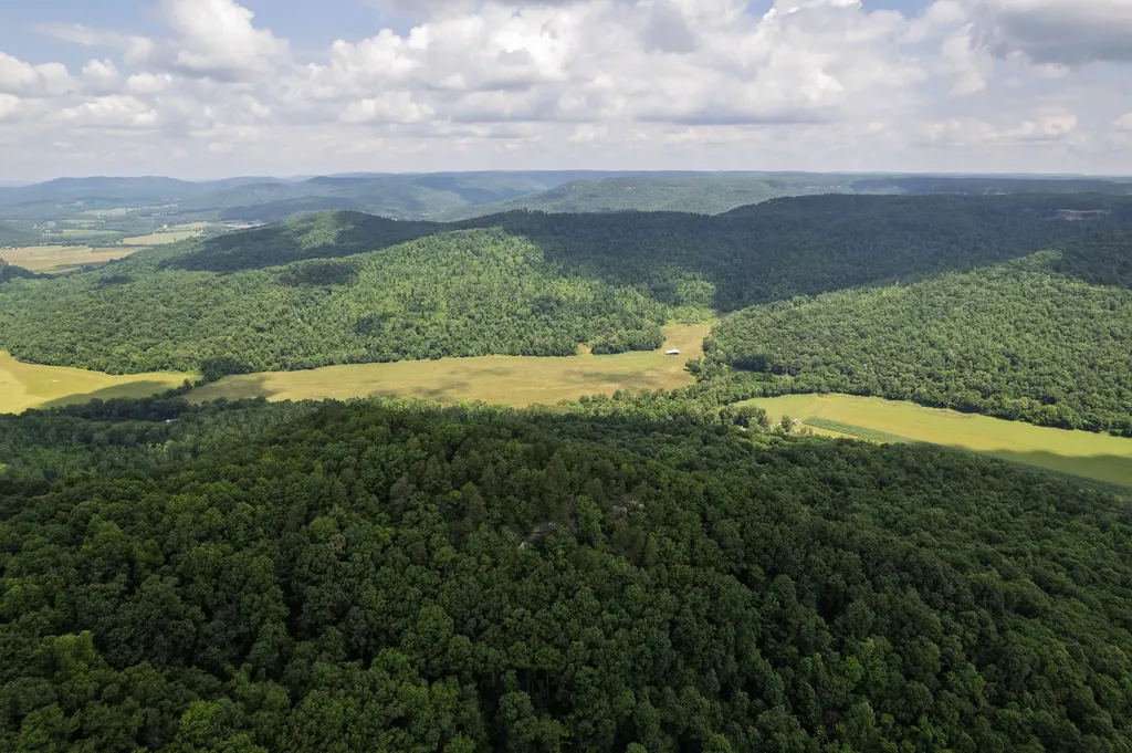 1313 Flat Rock Road Jamestown TN 38556