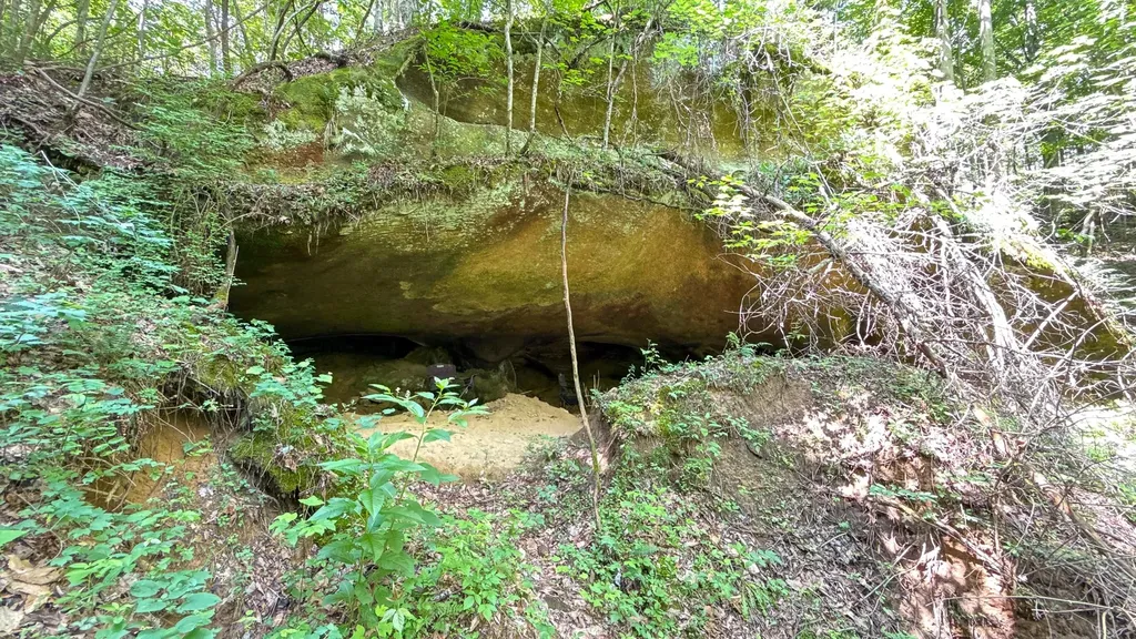 1313 Flat Rock Road Jamestown TN 38556