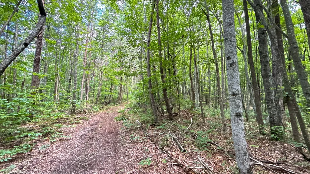 1313 Flat Rock Road Jamestown TN 38556
