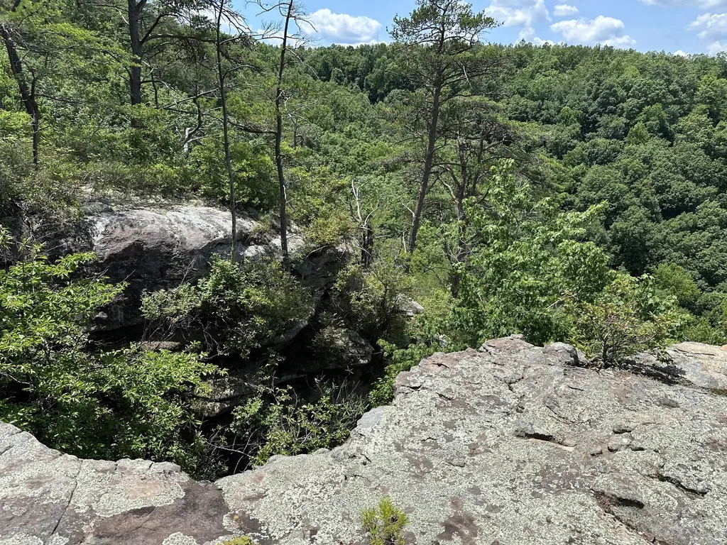 1313 Flat Rock Road Jamestown TN 38556