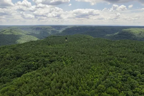 1313 Flat Rock Road Jamestown TN 38556