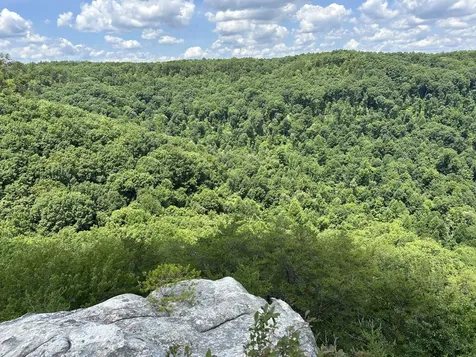 1313 Flat Rock Road Jamestown TN 38556
