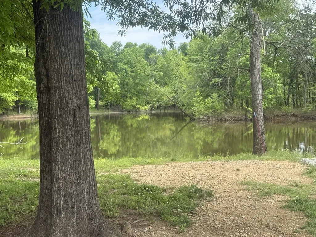 298 Duck Blind Road Clifton TN 38425