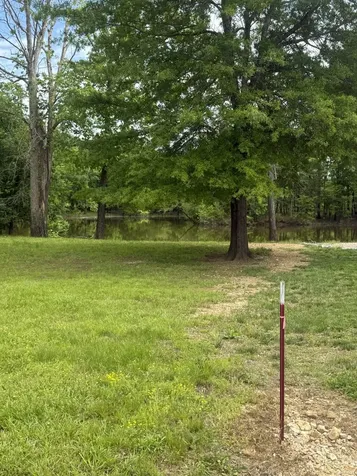 298 Duck Blind Road Clifton TN 38425