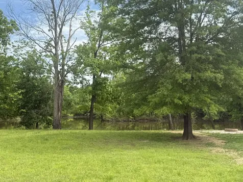 298 Duck Blind Road Clifton TN 38425