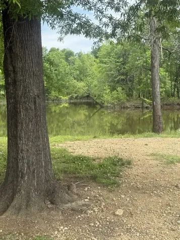 298 Duck Blind Road Clifton TN 38425