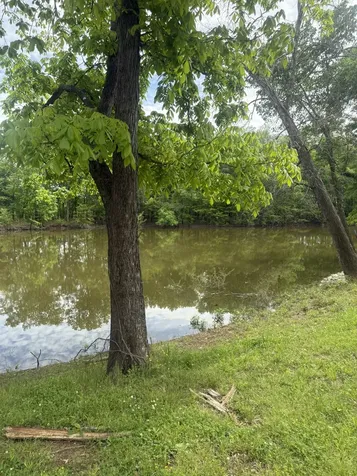 298 Duck Blind Road Clifton TN 38425