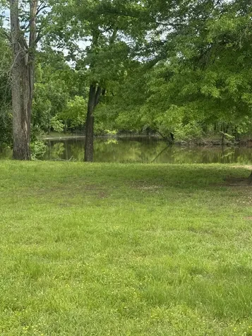 298 Duck Blind Road Clifton TN 38425