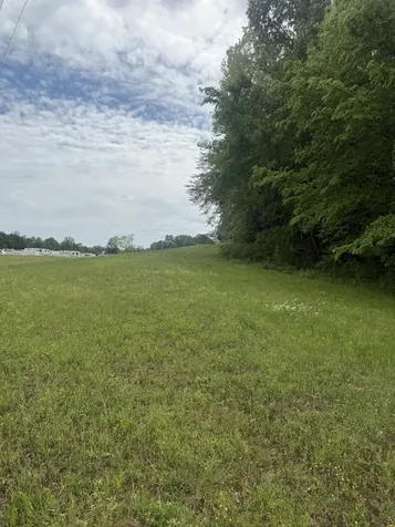 298 Duck Blind Road Clifton TN 38425