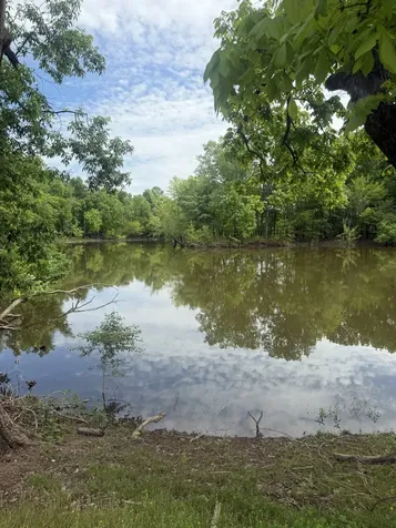 298 Duck Blind Road Clifton TN 38425