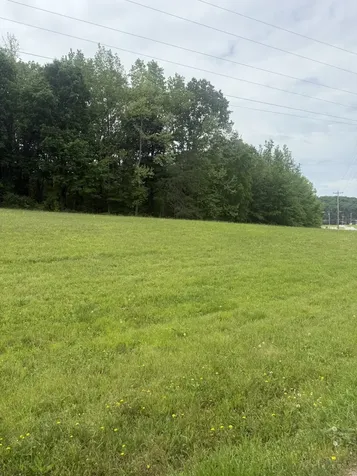 298 Duck Blind Road Clifton TN 38425