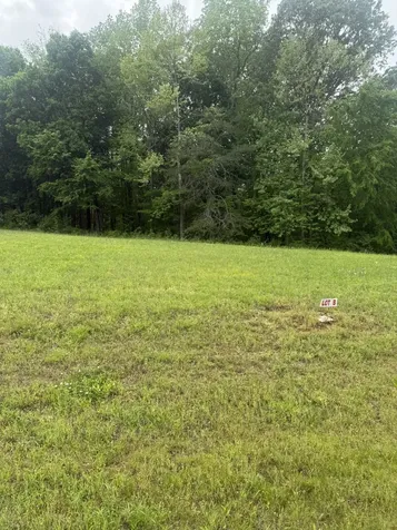 298 Duck Blind Road Clifton TN 38425