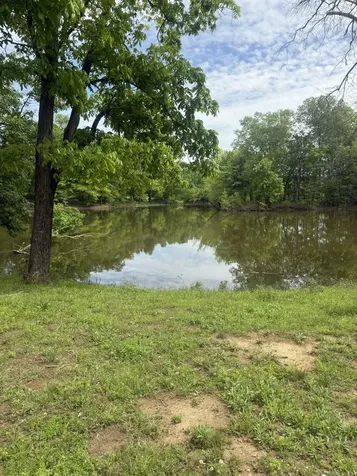298 Duck Blind Road Clifton TN 38425