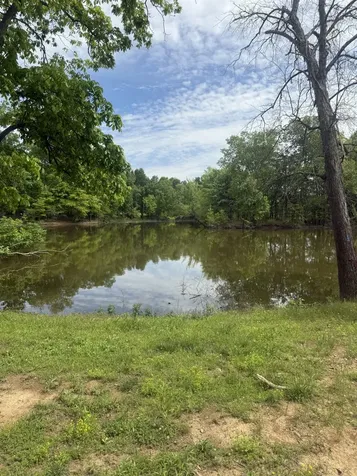 298 Duck Blind Road Clifton TN 38425