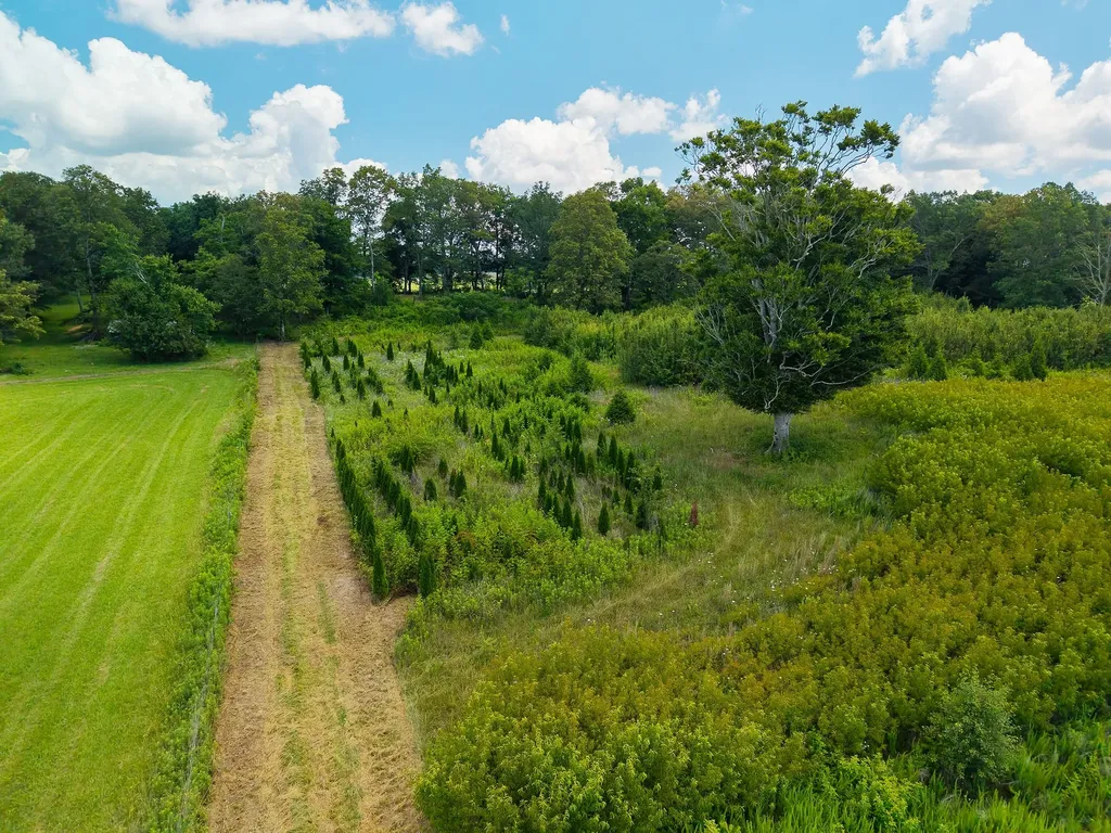 0 Sneed Road Mcminnville TN 37110