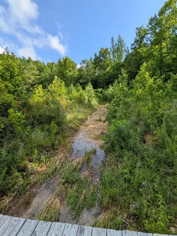 100 Asbury Drive New Johnsonville TN 37134