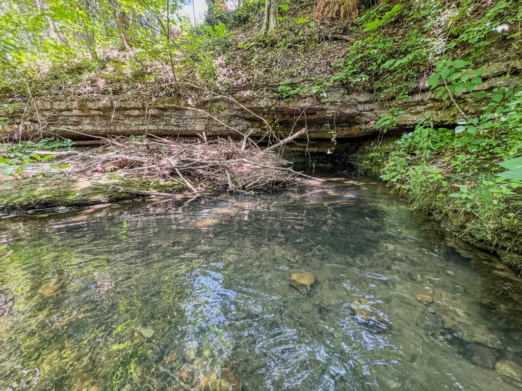 220 Ovilla Lane Lawrenceburg TN 38464