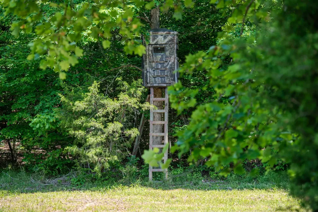 220 Ovilla Lane Lawrenceburg TN 38464
