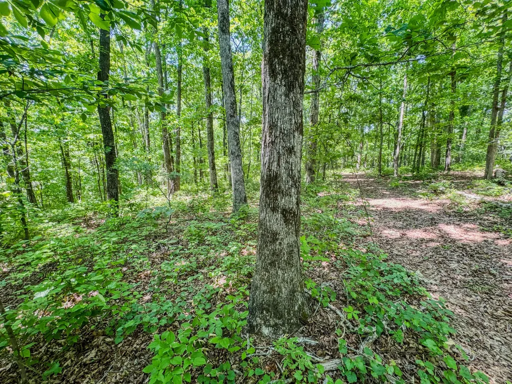 220 Ovilla Lane Lawrenceburg TN 38464
