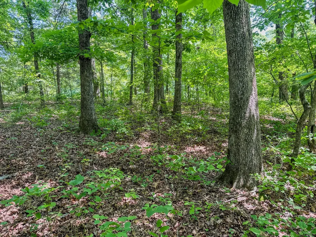 220 Ovilla Lane Lawrenceburg TN 38464