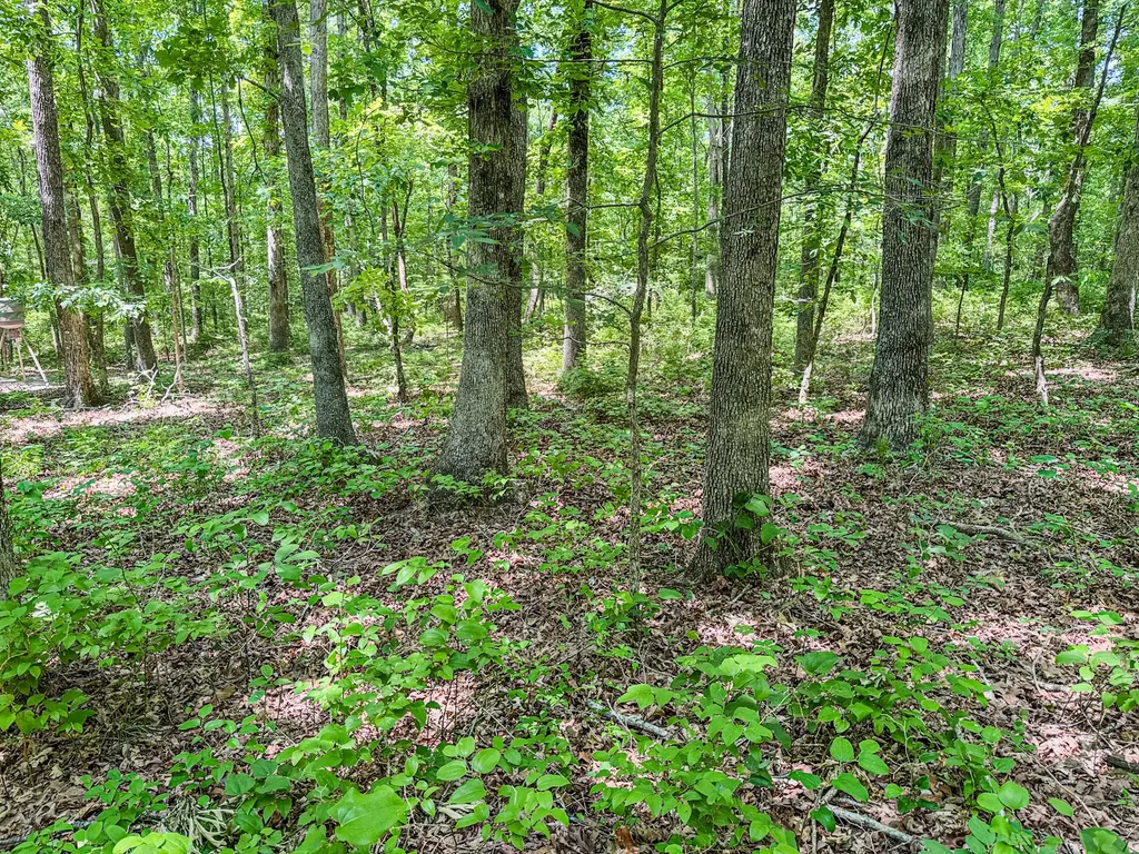 220 Ovilla Lane Lawrenceburg TN 38464