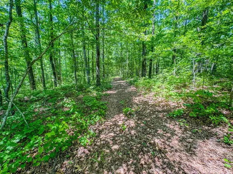 220 Ovilla Lane Lawrenceburg TN 38464
