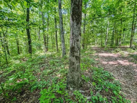220 Ovilla Lane Lawrenceburg TN 38464
