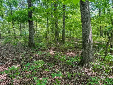 220 Ovilla Lane Lawrenceburg TN 38464