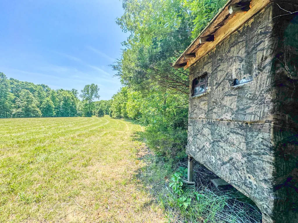 220 Ovilla Lane Lawrenceburg TN 38464